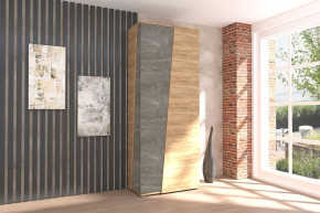 Аллегро-10 Шкаф двухдверный Диал в Нягани - nyagan.mebel-tymen.ru | фото