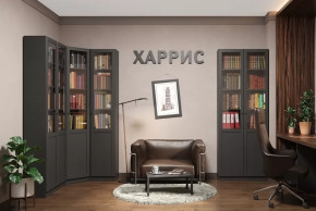 Библиотека Харрис в Нягани - nyagan.mebel-tymen.ru | фото