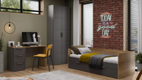 Детская «Стелла» Серый вулкан, Фон Серый, Яблоня Беллуно в Нягани - nyagan.mebel-tymen.ru | фото