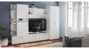 Гостиная Денвер в Нягани - nyagan.mebel-tymen.ru | фото