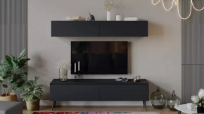 Гостиная «Глосс» №2 Яблоня Беллуно/Cтекло Графит матовый/Серый в Нягани - nyagan.mebel-tymen.ru | фото