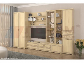 Гостиная Карина набор 11 в Нягани - nyagan.mebel-tymen.ru | фото