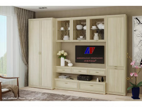 Гостиная Карина набор 23 в Нягани - nyagan.mebel-tymen.ru | фото