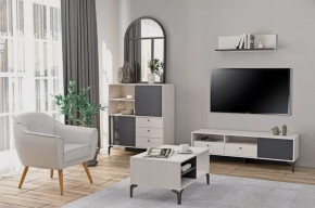 Гостиная Лион №2 Ясень анкор светлый/Графит Диал в Нягани - nyagan.mebel-tymen.ru | фото