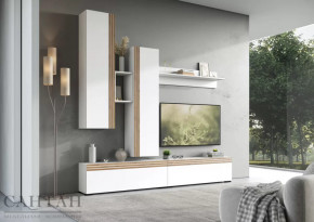 Гостиная НАО-Моно №1 в Нягани - nyagan.mebel-tymen.ru | фото