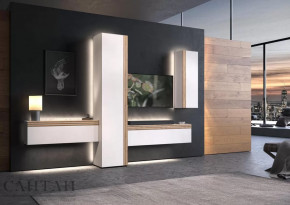 Гостиная НАО-Моно №7 в Нягани - nyagan.mebel-tymen.ru | фото