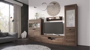 Гостиная Серия Регина дуб самдал в Нягани - nyagan.mebel-tymen.ru | фото