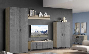 Гостиная Шер Композиция №13 в Нягани - nyagan.mebel-tymen.ru | фото