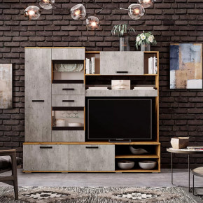 Гостиная Трамп ЦС-05 в Нягани - nyagan.mebel-tymen.ru | фото