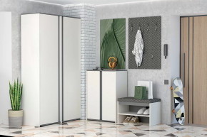 Иннэс-12 Прихожая №2 Диал в Нягани - nyagan.mebel-tymen.ru | фото