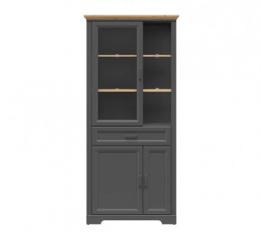 JASMIN шкаф REG1W2D1S (Графит/ Дуб артизан) в Нягани - nyagan.mebel-tymen.ru | фото