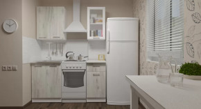 Кухонный гарнитур Алина мини 1000 мм в Нягани - nyagan.mebel-tymen.ru | фото