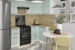 Кухонный гарнитур Лиора оптима 5 1200х2000 мм в Нягани - nyagan.mebel-tymen.ru | фото