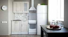 Кухонный гарнитур Лира мини 1000 мм в Нягани - nyagan.mebel-tymen.ru | фото