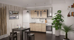 Кухонный гарнитур Ника стандарт 1600 мм в Нягани - nyagan.mebel-tymen.ru | фото