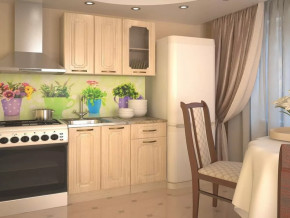 Кухонный прямой гарнитур 2, 1000 мм, Грецкий орех в Нягани - nyagan.mebel-tymen.ru | фото