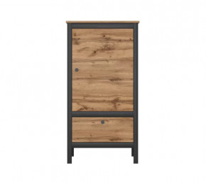 LOFT шкаф REG1D1S/60 (Дуб вотан/Черный) в Нягани - nyagan.mebel-tymen.ru | фото