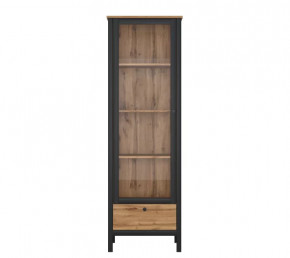 LOFT шкаф REG1W1S (Дуб вотан/Черный) в Нягани - nyagan.mebel-tymen.ru | фото