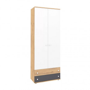 Лойс 92 Шкаф для одежды и белья в Нягани - nyagan.mebel-tymen.ru | фото