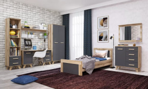 Молодёжная №ДКС-1 "Вега Скандинавия" Дуб каньон/Силк флай в Нягани - nyagan.mebel-tymen.ru | фото