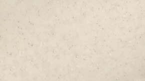 Панель пристенная 6х600х720 в Нягани - nyagan.mebel-tymen.ru | фото