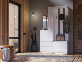 Прихожая Челси белый в Нягани - nyagan.mebel-tymen.ru | фото