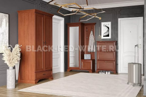 Прихожая Kentaki каштан в Нягани - nyagan.mebel-tymen.ru | фото