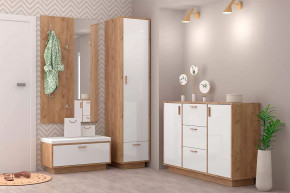 Прихожая Эго, набор №БГ-2, дуб крафт золотой/белый глянец Диал в Нягани - nyagan.mebel-tymen.ru | фото