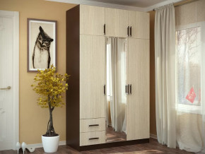 Шкаф 3-х створчатый с перегородкой венге/лоредо БТС в Нягани - nyagan.mebel-tymen.ru | фото