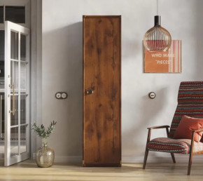 Шкаф JREG 1d Дуб саттер ИНДИАНА в Нягани - nyagan.mebel-tymen.ru | фото