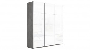 Шкаф-купе 3-х дверный «Траст» в Нягани - nyagan.mebel-tymen.ru | фото