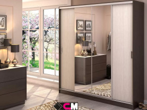 Шкаф-купе Альянс 2000 в Нягани - nyagan.mebel-tymen.ru | фото