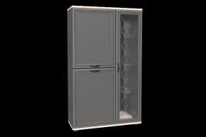 Шкаф многоцелевой ШК-1082 Карина в Нягани - nyagan.mebel-tymen.ru | фото