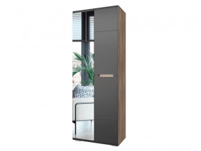 Шкаф Наоми ШК-22 графит нубук в Нягани - nyagan.mebel-tymen.ru | фото