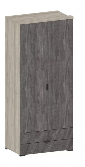 Шкаф Шаде ШК-2905 в Нягани - nyagan.mebel-tymen.ru | фото