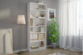 Стеллаж Бильд в Нягани - nyagan.mebel-tymen.ru | фото