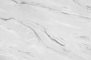 Стеновая панель №43, 3000*600*6 мм, аргус светлый в Нягани - nyagan.mebel-tymen.ru | фото