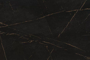 Стеновая панель №73, 3000*600*6 мм, каспий черное золото в Нягани - nyagan.mebel-tymen.ru | фото