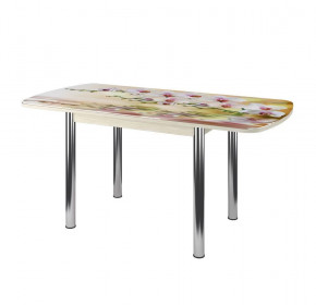 Стол Бостон-3 раздвижной, фотопечать Орхидея на воде/венге/хром брифинг в Нягани - nyagan.mebel-tymen.ru | фото