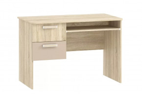 Стол для компьютера НМ 009.19-05 М2 Акварель в Нягани - nyagan.mebel-tymen.ru | фото