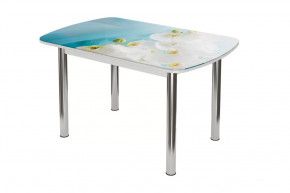 Стол овальный Бостон-2 Белая орхидея, 1100*700 мм, хром брифинг в Нягани - nyagan.mebel-tymen.ru | фото