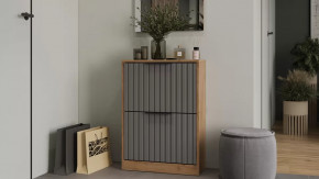 Тумба для обуви «Хилтон» Исп.2 Дуб Крафт золотой, Графит матовый в Нягани - nyagan.mebel-tymen.ru | фото