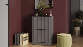 Тумба для обуви «Хилтон» Исп.2 Серый графит, Графит матовый в Нягани - nyagan.mebel-tymen.ru | фото