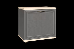 Тумба для обуви ТБ-1042 Карина в Нягани - nyagan.mebel-tymen.ru | фото