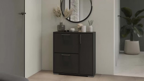 Тумба для обуви Тип 15 Антрацит в Нягани - nyagan.mebel-tymen.ru | фото