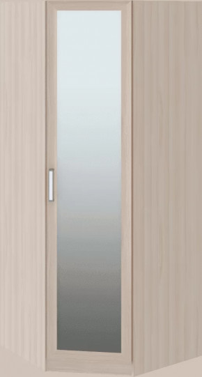 Волкер подростковая М01 Шкаф угловой в Нягани - nyagan.mebel-tymen.ru | фото