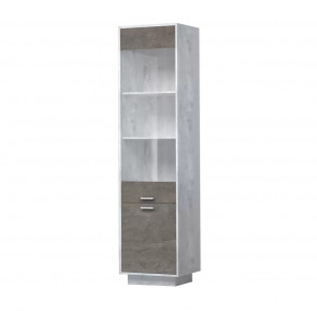 ЭГО ПС-1 Пенал с 2 дверьми 500 мм Диал в Нягани - nyagan.mebel-tymen.ru | фото