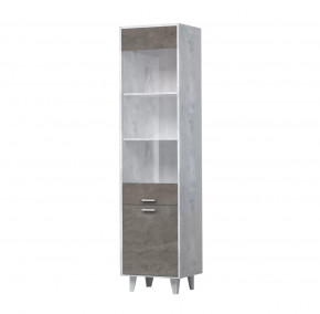 ЭГО ПС-1 Пенал с 2 дверьми Диал в Нягани - nyagan.mebel-tymen.ru | фото